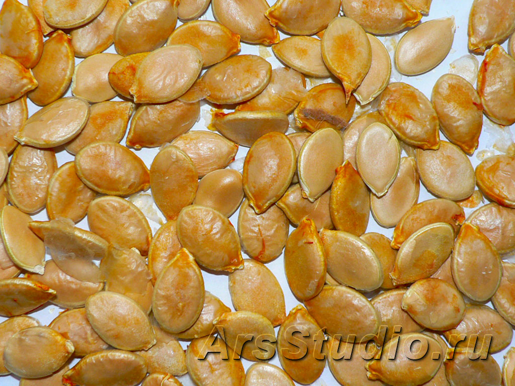 Семена тыквы лечат семен полотский